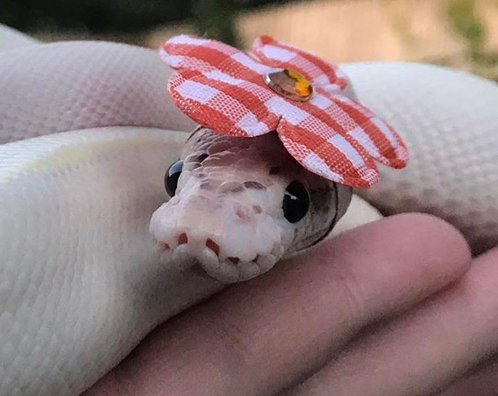  “I Need To Protect My Delicate Complexion From The Sssssun...”