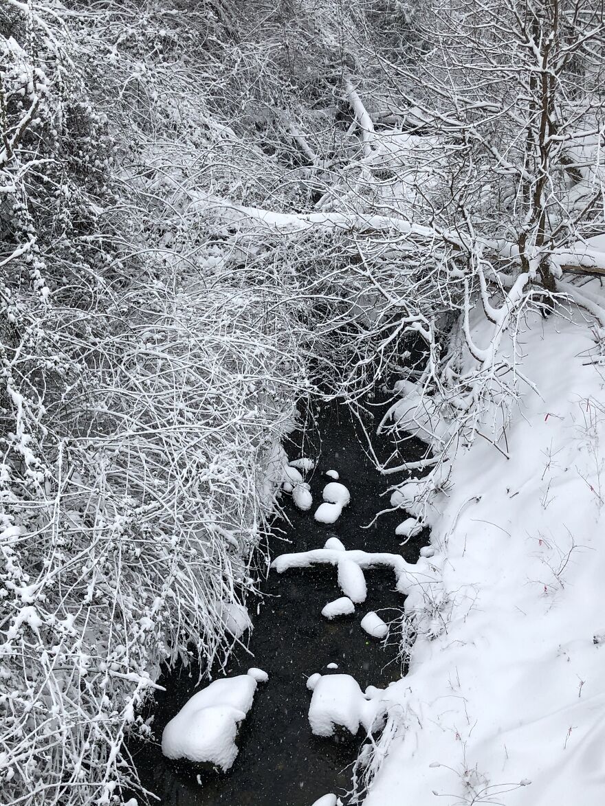 A Snowy Creek