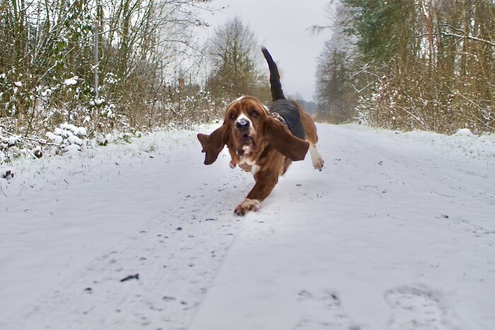 Freya Having Fun In Snow