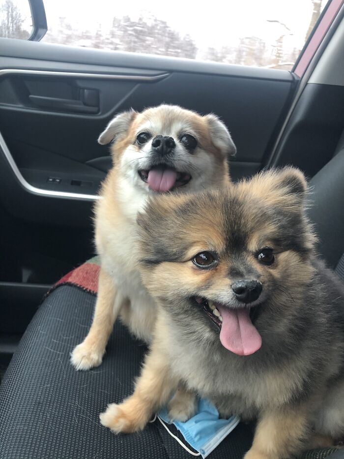 Going For A Ride!