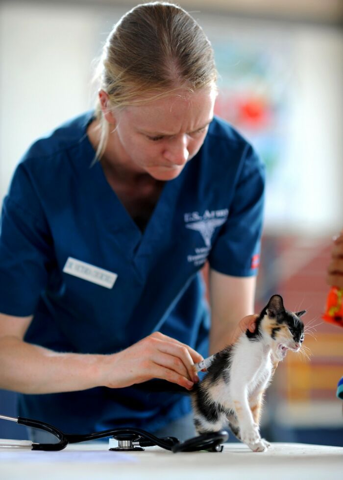 30 Veterinarians Share Things All Pet Owners Should Be Aware Of