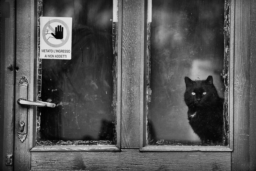 "Authorized Personnel Only. You Get That Human?"