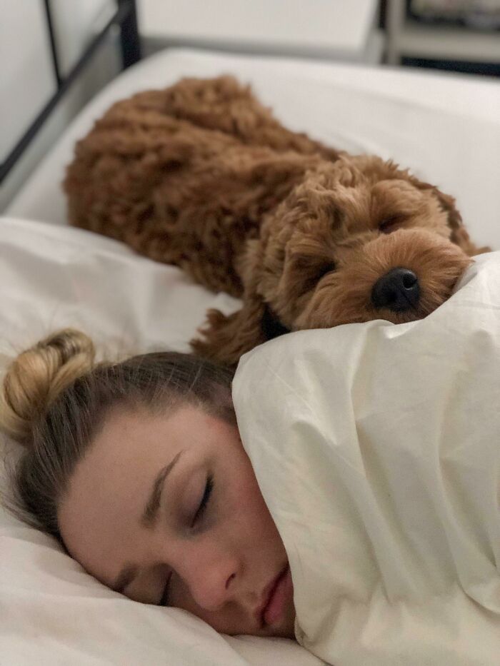 My Wife And Our Dog Marty As I Was Leaving For Work This Morning