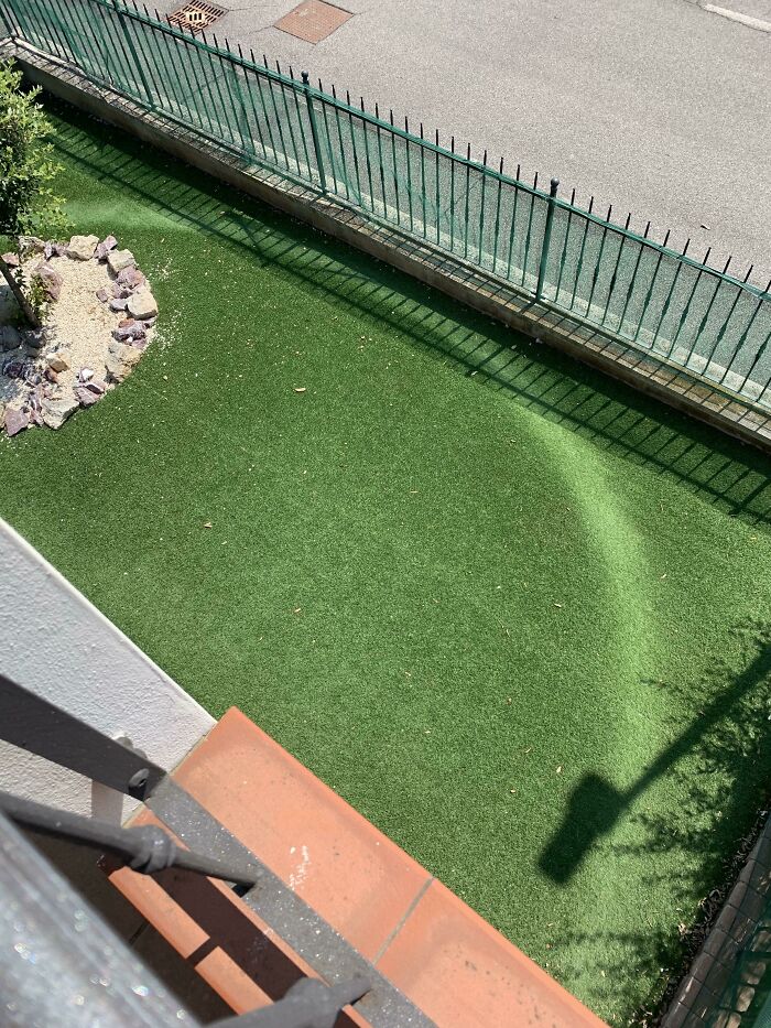 This Perfect Semicircular Mark In The Garden Is Made By A Dog That Has Followed This Path For Years