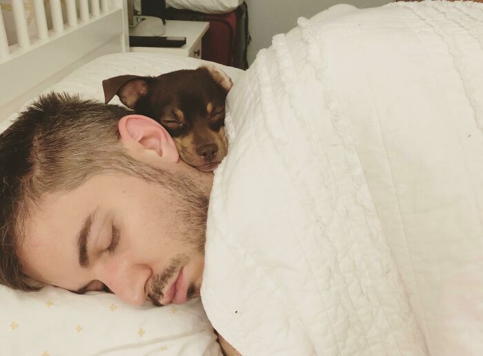 Me he despertado y he visto a mi novio y al perro dormidos así