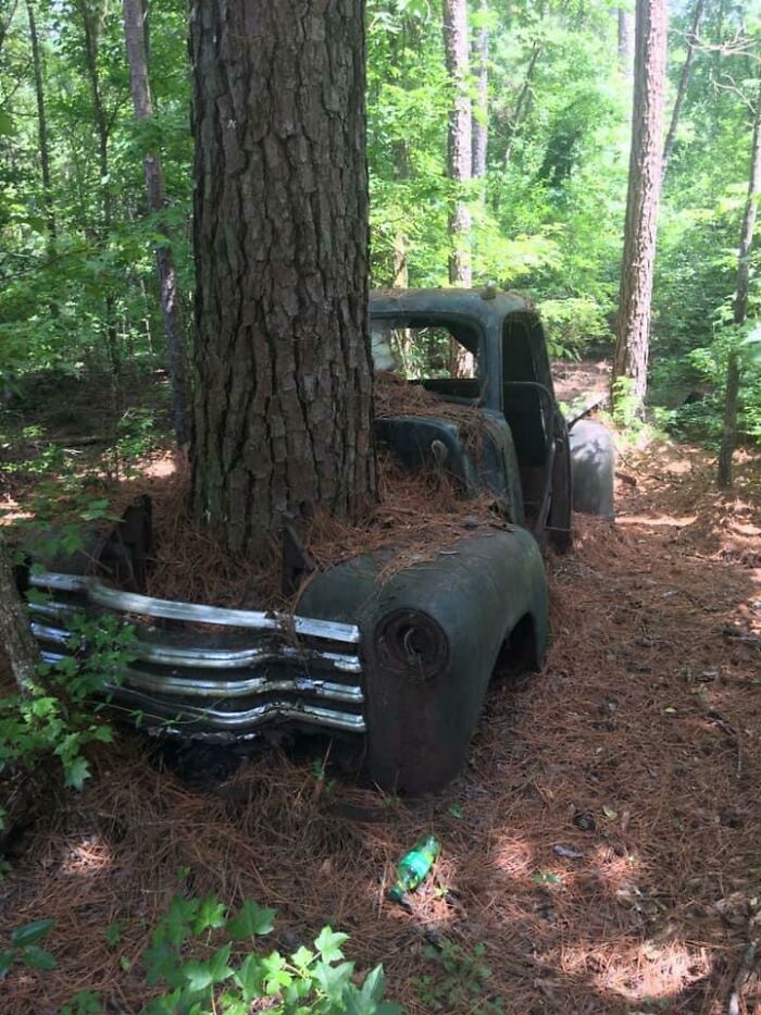 This Tree Growing Through An Old Truck