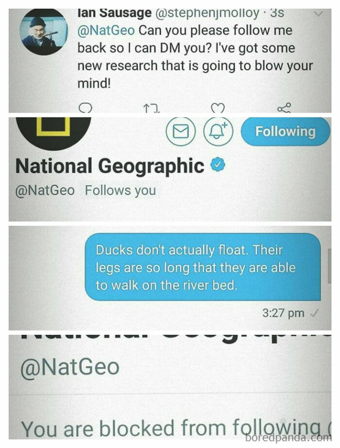 Natgeo Wasnt Ready For This Madlad's Theory