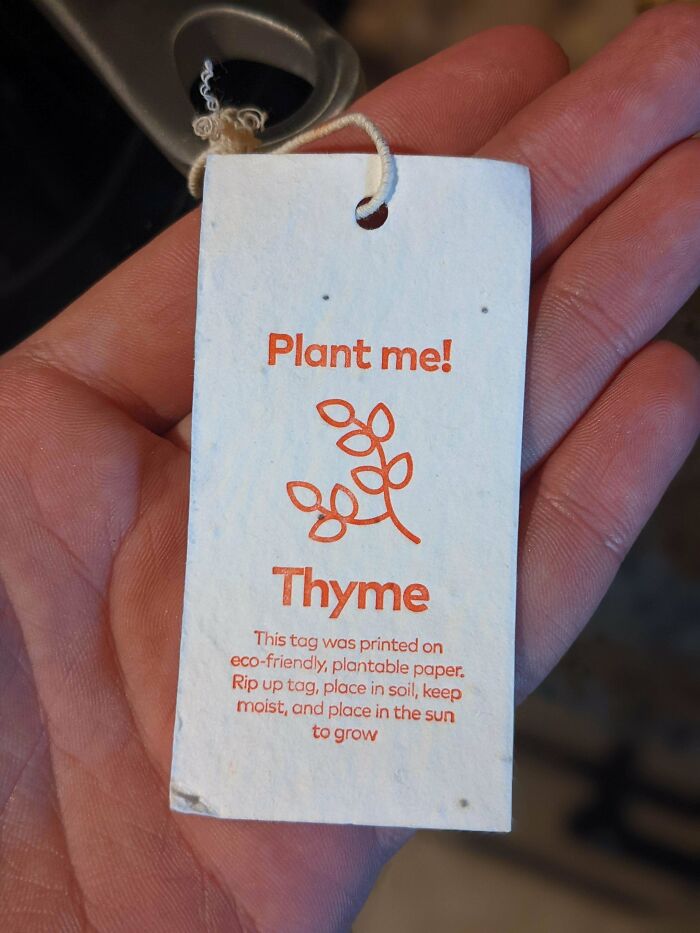La etiqueta de mi nueva sartén se puede plantar para cultivar tomillo