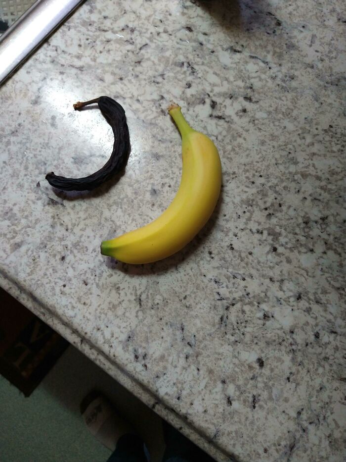 My Dad Found A ~20 Year Old Banana In His Coat Pocket