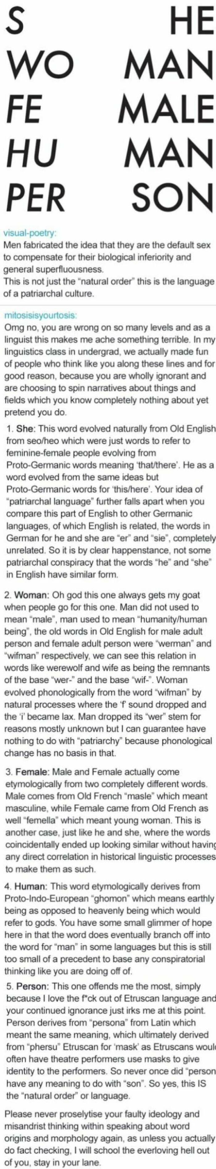 Misandrist Gets Murdered By An Intellectual!
