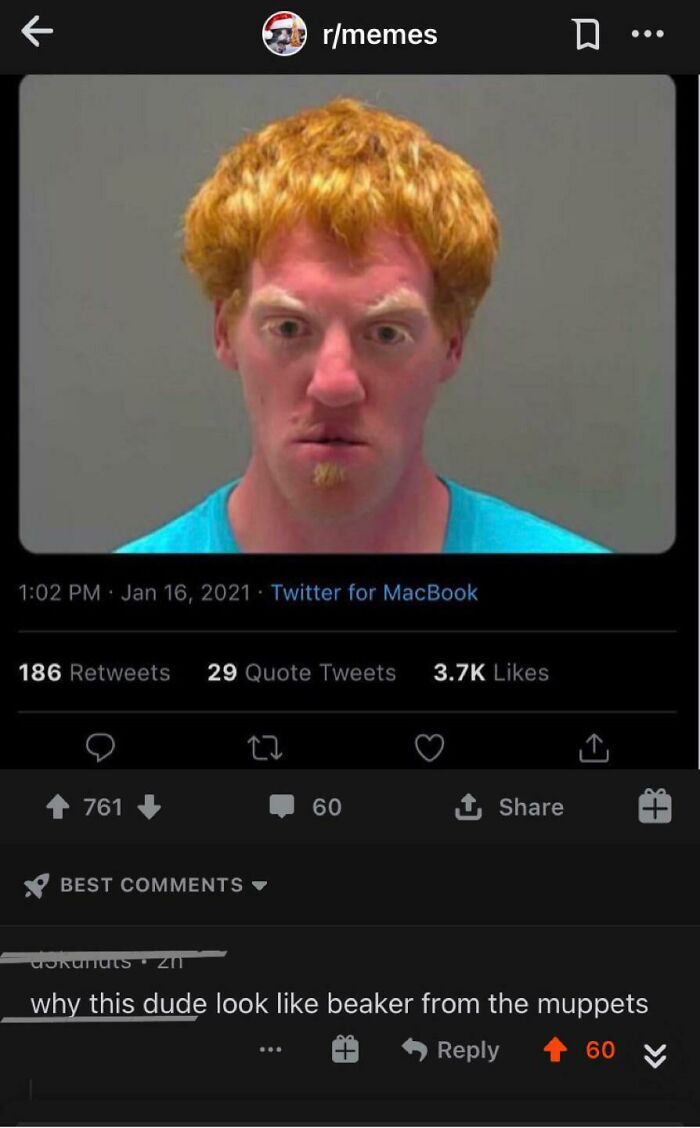 Arrested For Meep Meep