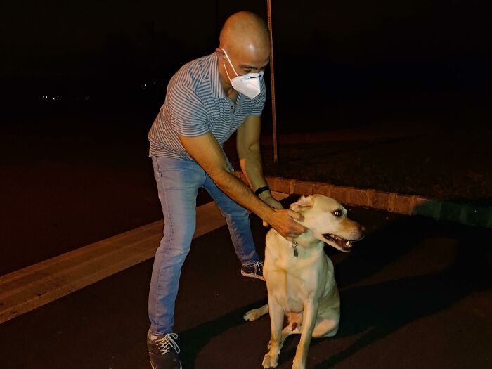 I Reunited This Dog With It’s Dad Last Night