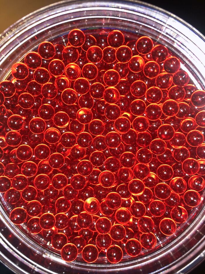 Forbidden Fish Eggs (Red Airsoft BBS)