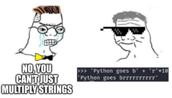 Python Goes Brrrr