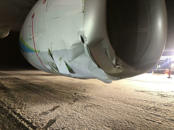 An Alaska Airlines 737 Hit A Bear In Yakutat, Alaska