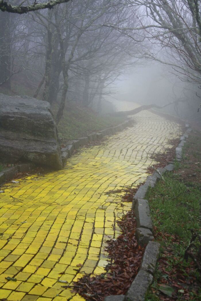 The Eerie Yellow Brick Road Of Abandoned "Land Of Oz" Theme Park In North Carolina