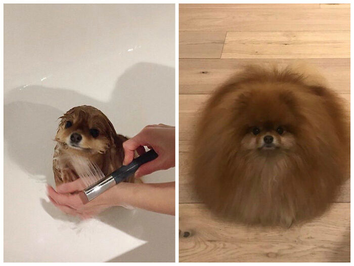 During And After A Shower