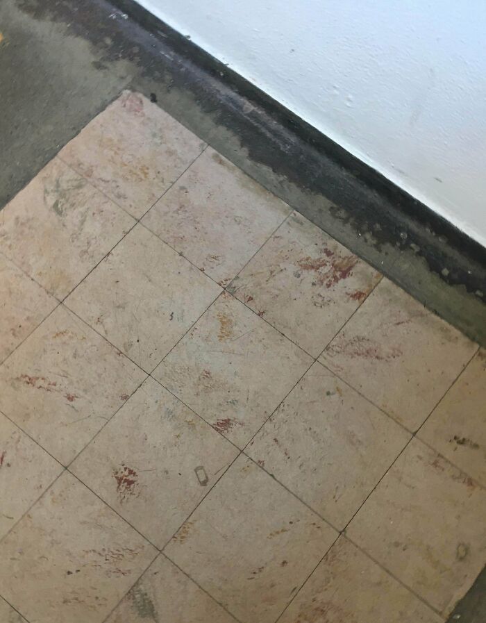 My Daughter’s School Staircase Tiles Look Like Covered With Blood And Dirt