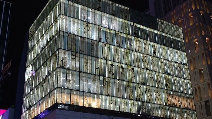 This Building I Found In Osaka With Marble Patterned Windows, Looks Like Someone Smeared Liquid Faeces On Them