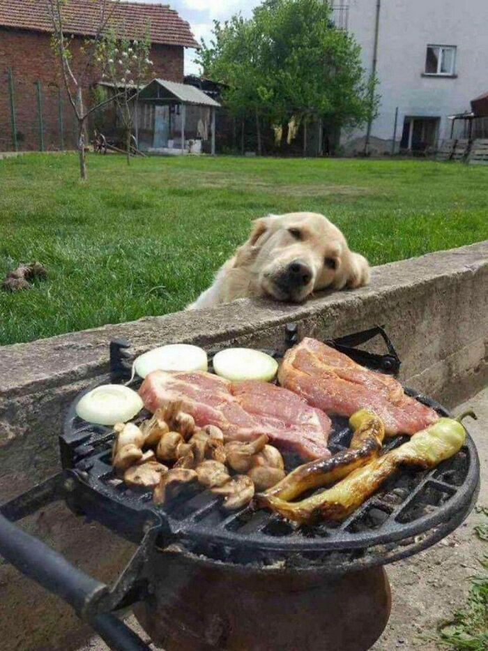 Day Dreaming In Front Of The BBQ