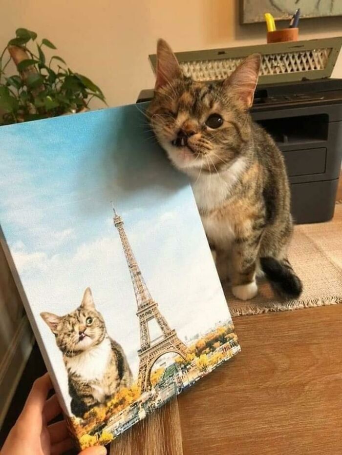 Wholesome Painting