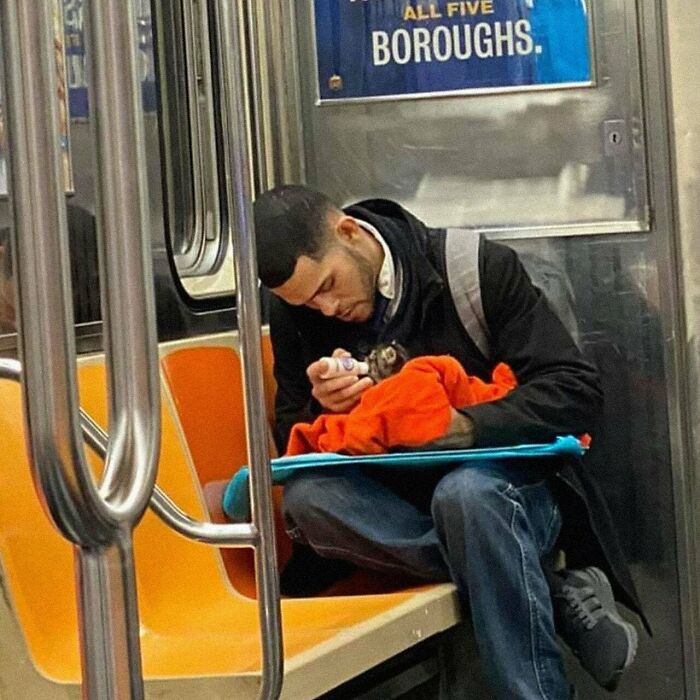 Just A Man Feeding A Kitten On The Underground