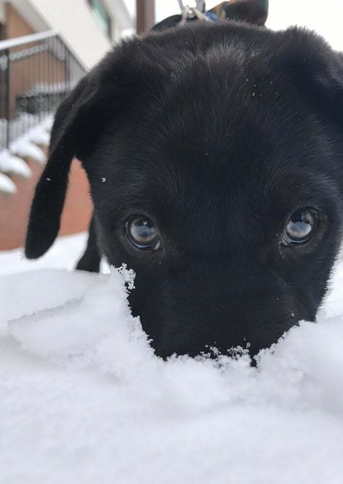 His First Snow