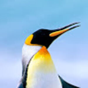 azaariahmattingly avatar