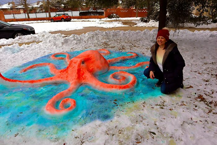 My Mother In Texas Made Some Incredible Octopus Art Out Of The Snow To Bring Some Light Into The Dark Times
