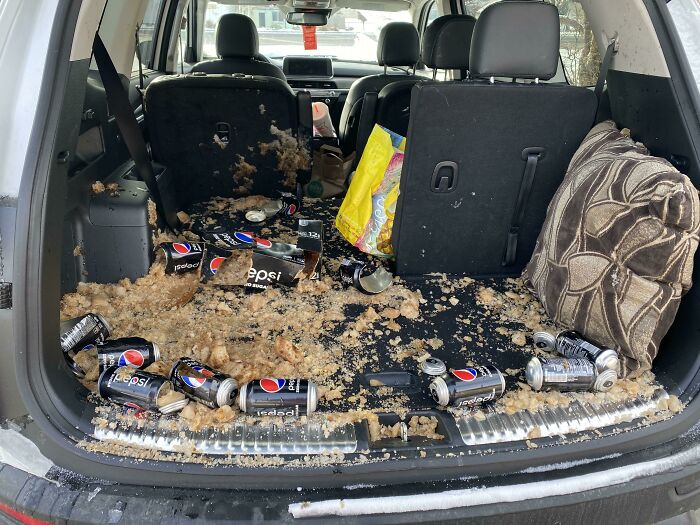 I Forgot The Pepsi Was In The Back Of My Car, And It Was -16 Fahrenheit Night Before Last