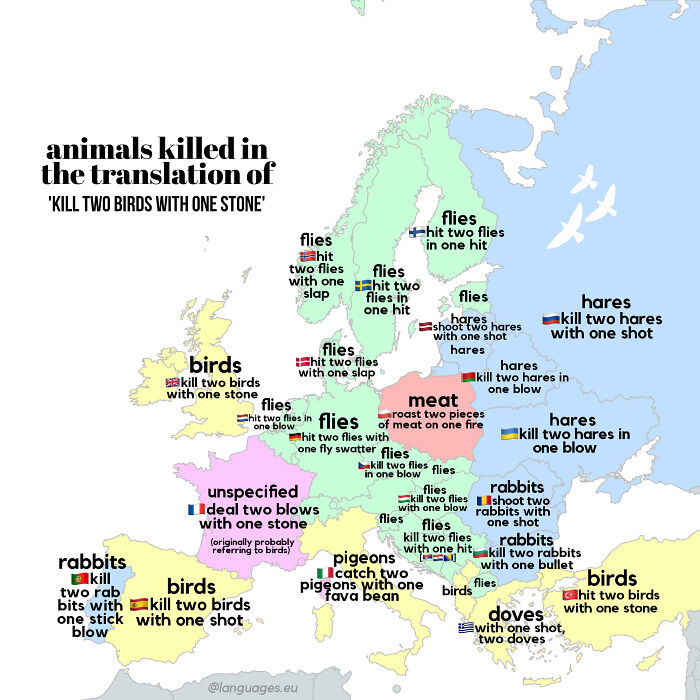 Translation Of The Idiom 'Kill Two Birds With One Stone' In European Languages