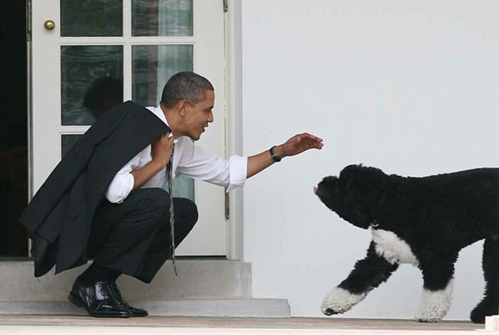 Cuando un Presidente ama a su perro