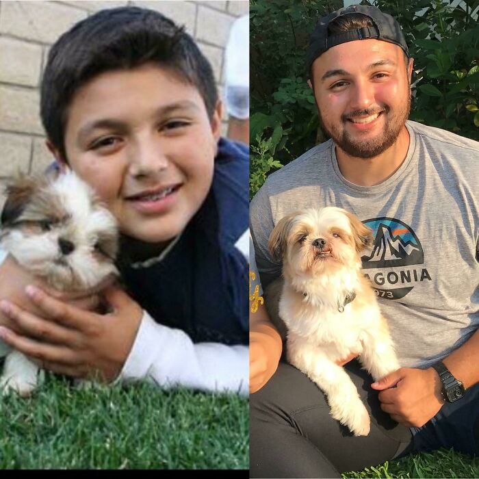 Wiggles And I 13+ Years Later!