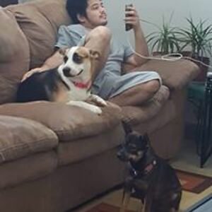 michael_unangst avatar