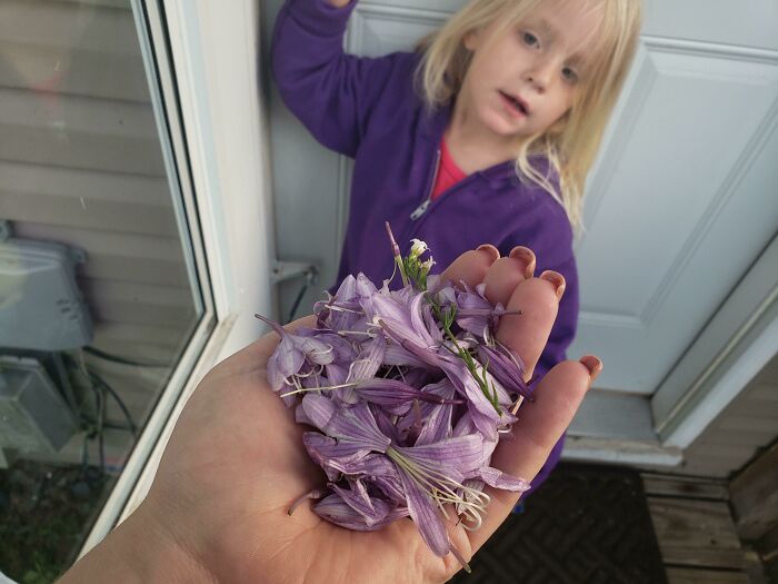 When I Picked My 3-Year-Old Daughter Up From Auntie She Said She Had Something For Me In Her Pocket. She Pulled A Whole Handful Of Flowers From Her Pocket