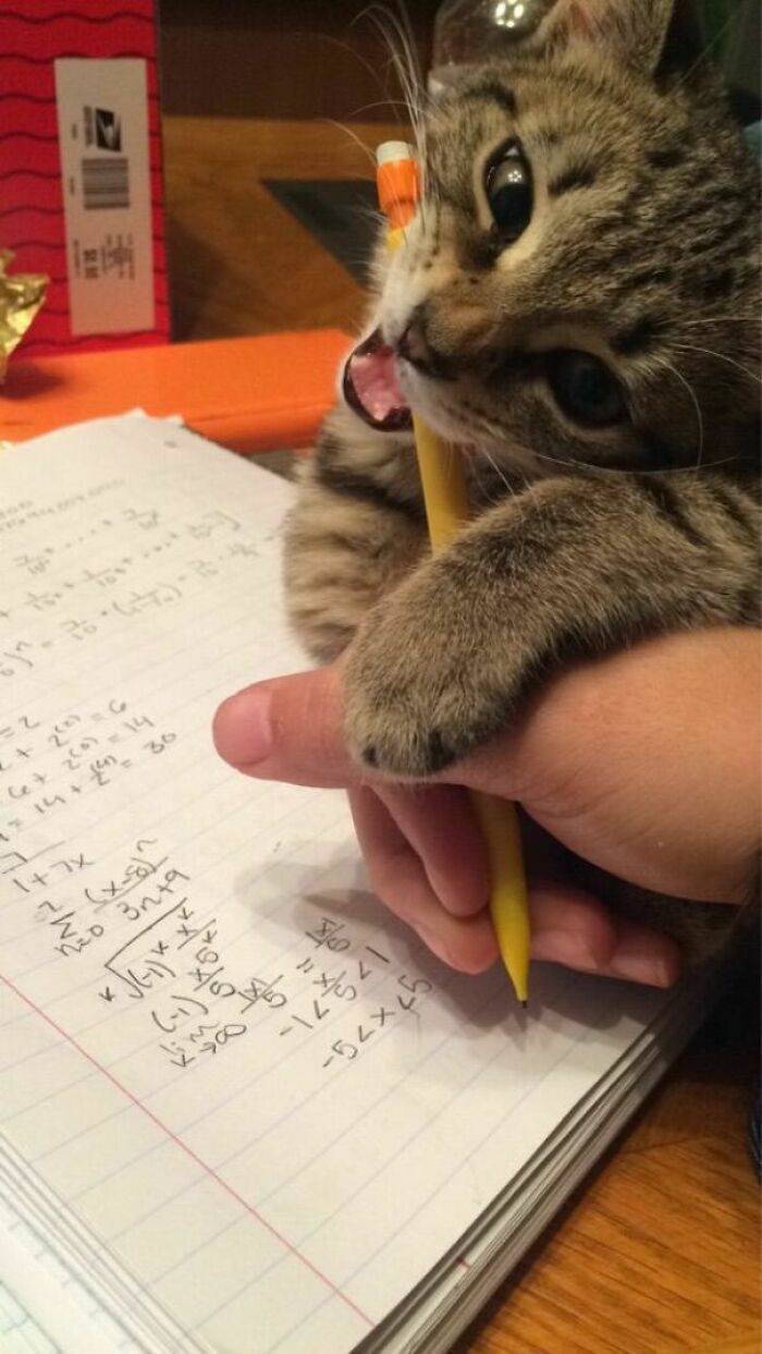 No More Math, Give Me Attention