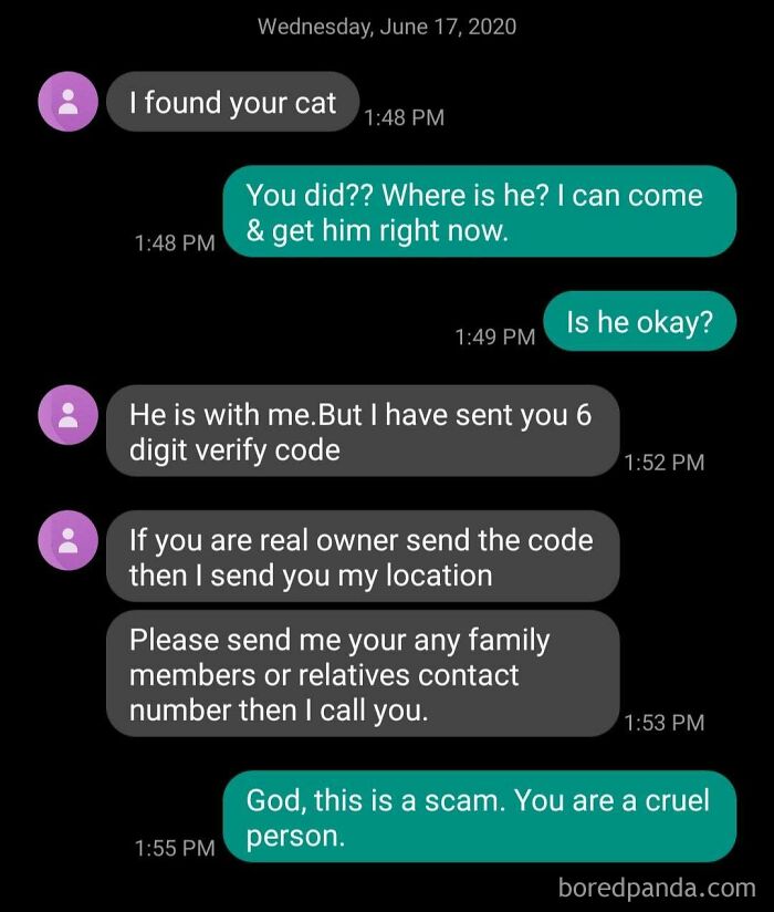 Apparently There Is A Market For Scamming People Whose Pets Are Missing