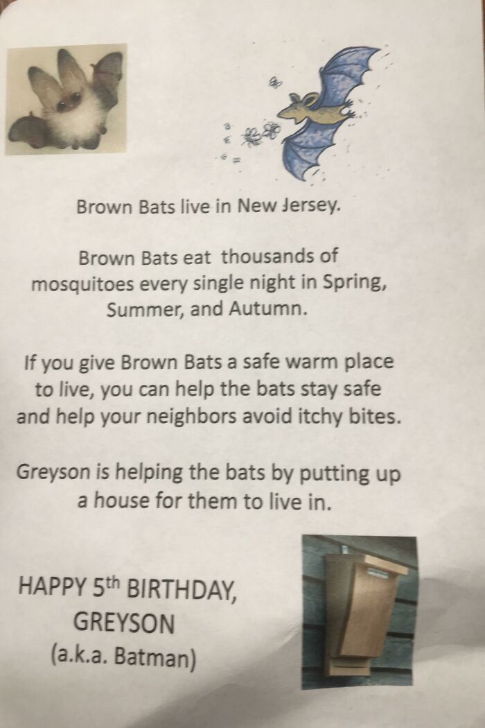 My Daughter's Classmate Helping Out The Batties For His Birthday