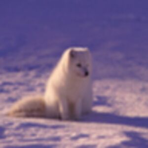 gabriellaparker avatar