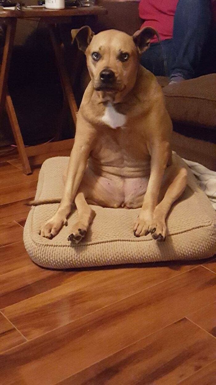 What Do You Mean I Sits Weird?