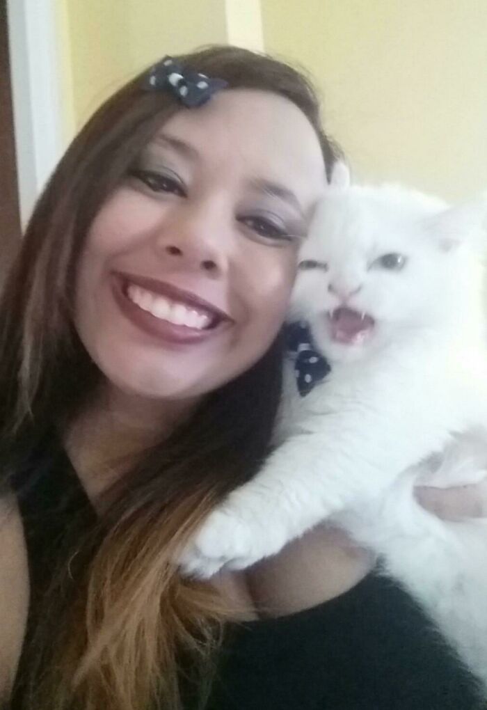 My Friend Tried To Take A Selfie With Her New Kitty