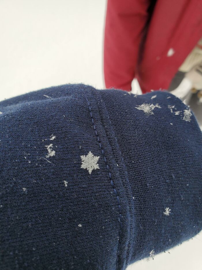 Perfect Snowflake I Got On My Sleeve This Morning