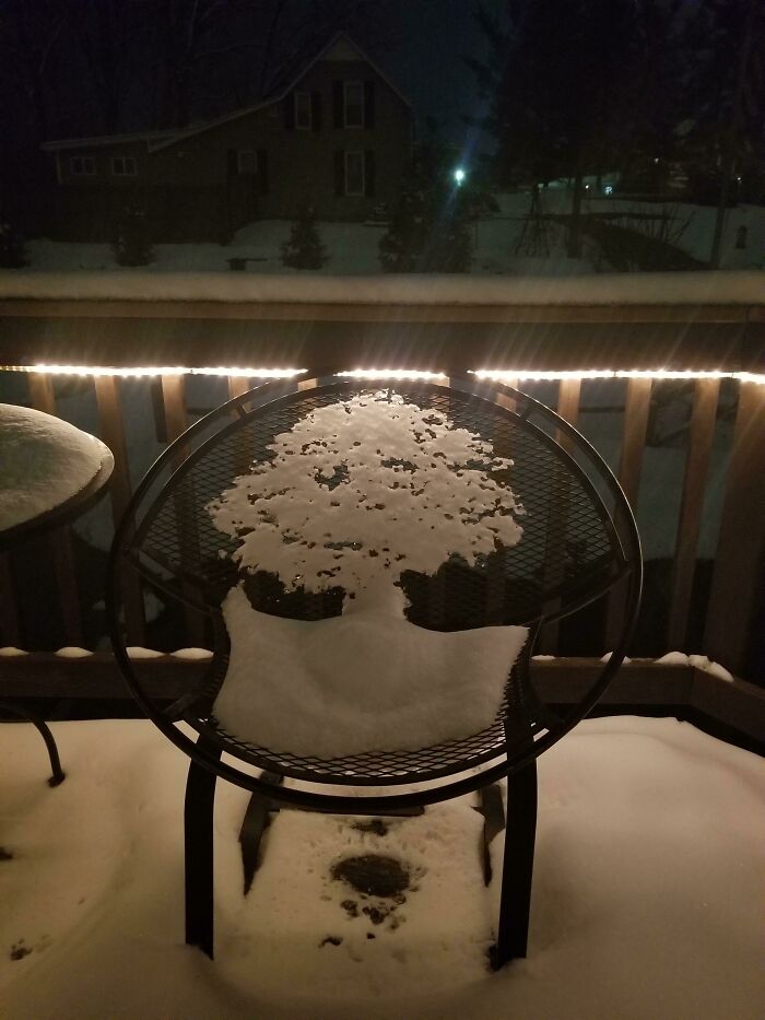 La nieve derretida en esta silla parece un árbol