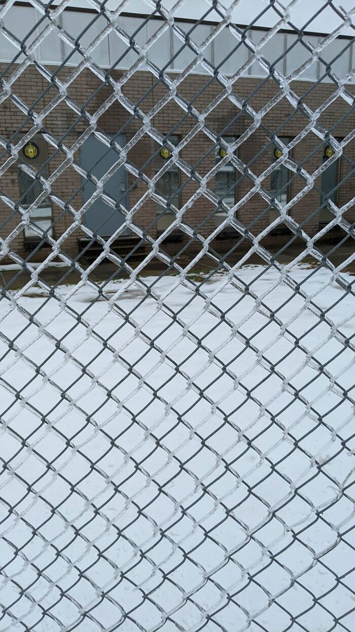 The Way This Water Froze To The Fence