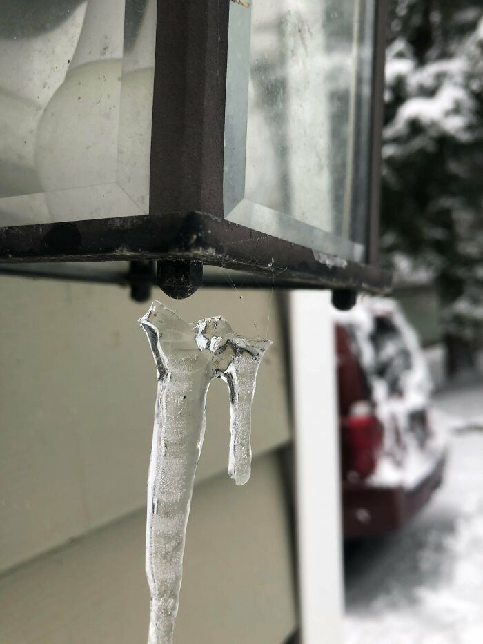 Icicle Being Hung By A Few Strands Of Spider Web