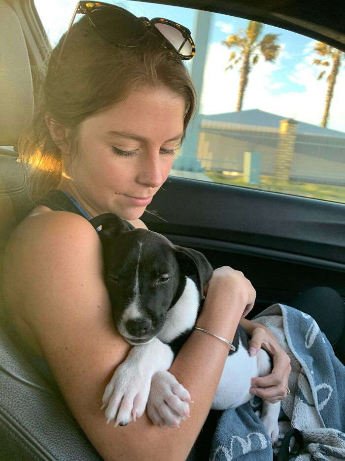 My Wife And I Taking This Rescue Pup To His Forever Home