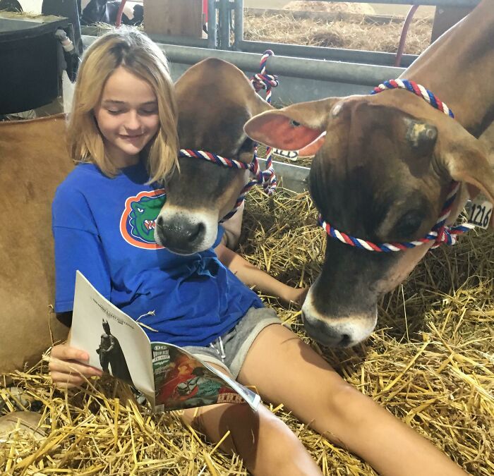 My Daughter And Her Cows Read A Comic Book At The State Fair