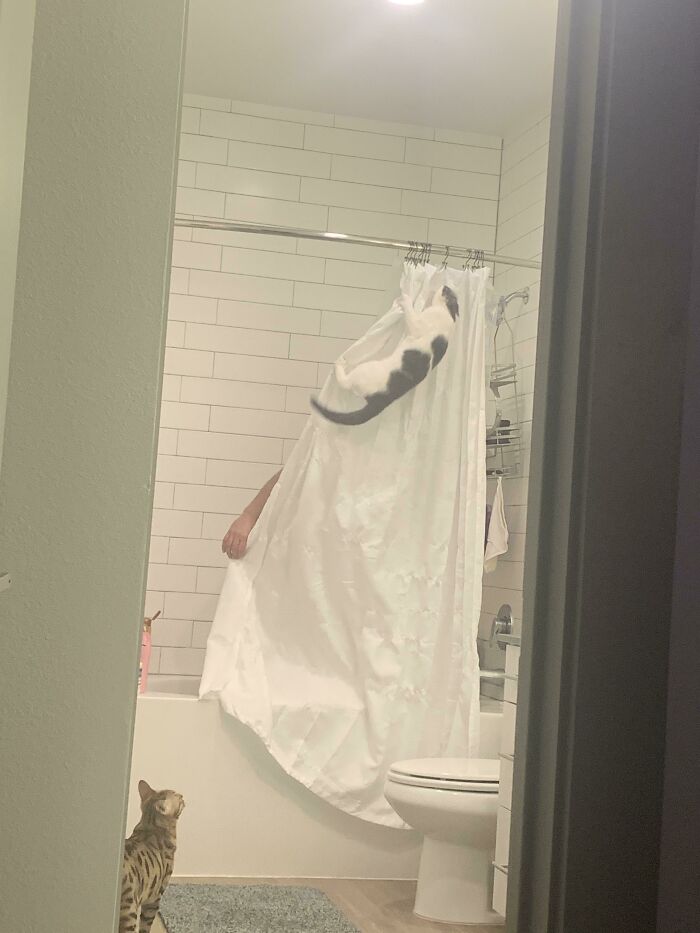 Heard My Husband Screaming While In The Shower. Walked In On This