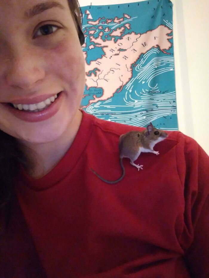 I Submit Shoulder Mouse For Your Consideration