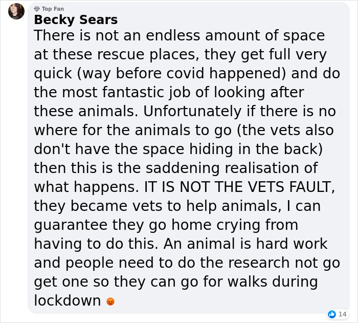 Vet Is Forced To Put A Healthy Pup To Sleep, Pleads With People To Think Twice Before Getting A Dog In Lockdown